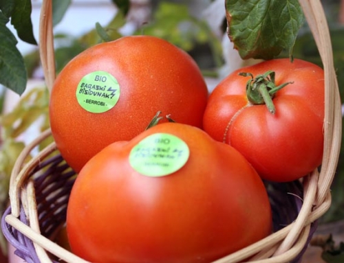 Pegatinas para los tomates de Barazki Bizidunak